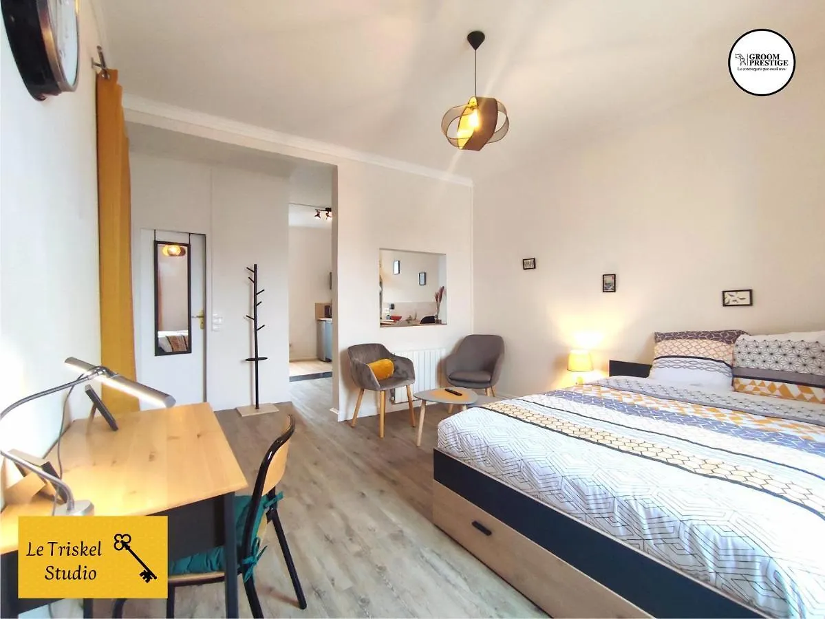 Le Triskel Studio - Un Chez Soi Proche De La Gare Apartment Saint-Brieuc