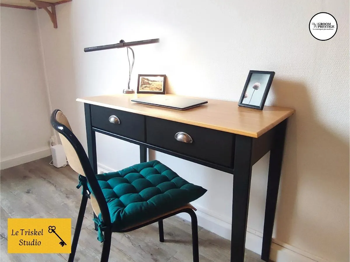 Le Triskel Studio - Un Chez Soi Proche De La Gare Apartment Saint-Brieuc