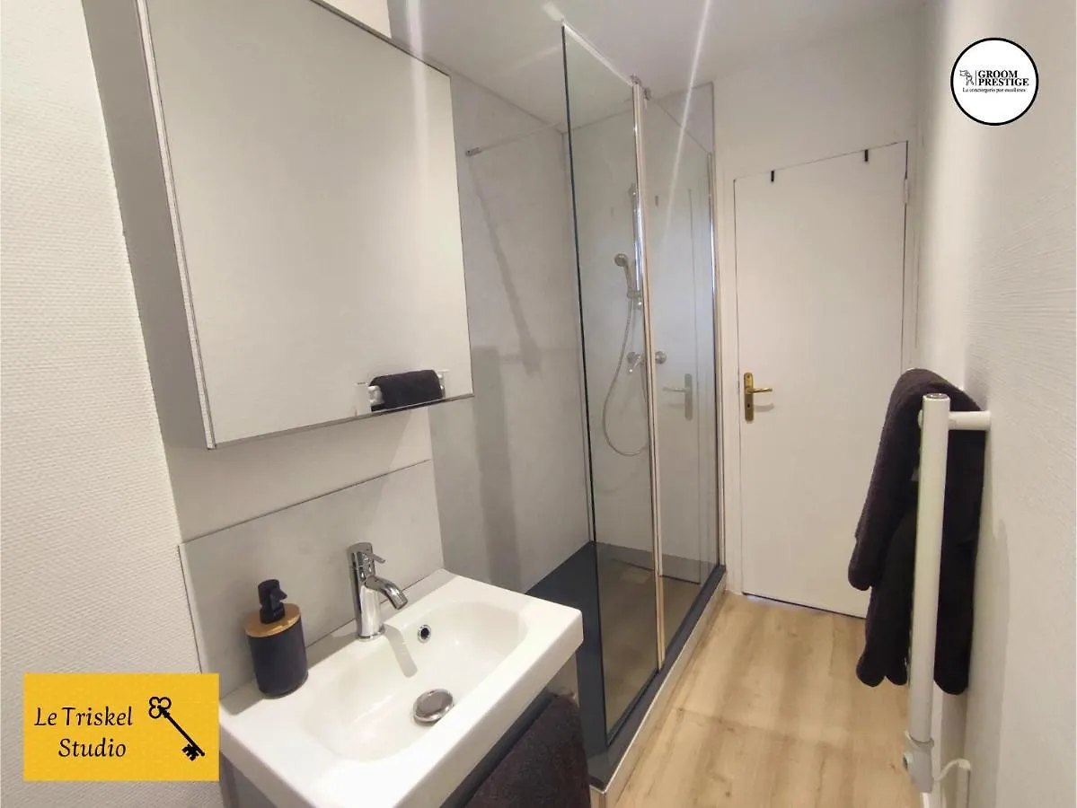 Le Triskel Studio - Un Chez Soi Proche De La Gare Apartment Saint-Brieuc