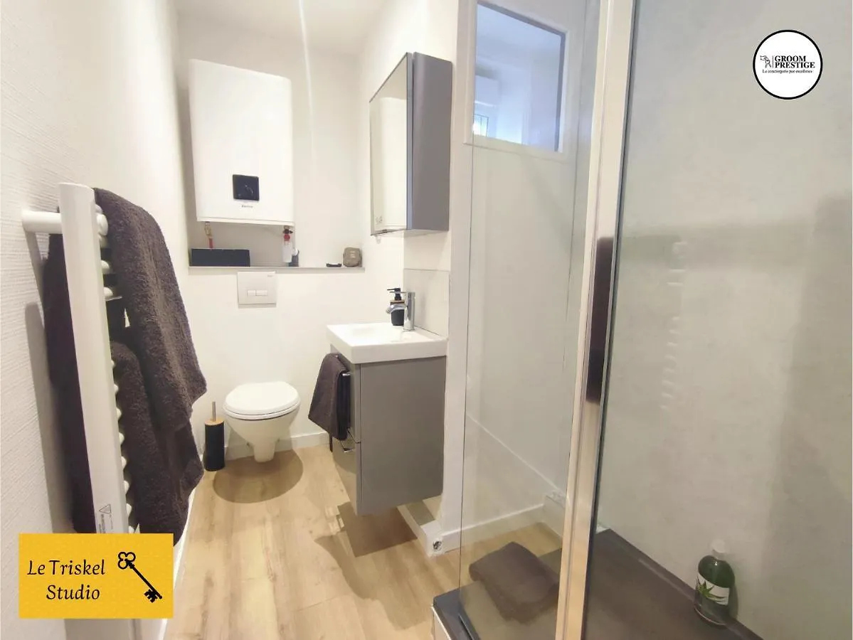 Le Triskel Studio - Un Chez Soi Proche De La Gare Apartment Saint-Brieuc